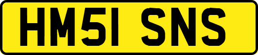 HM51SNS