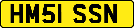 HM51SSN