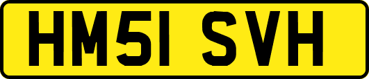 HM51SVH