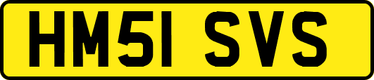 HM51SVS