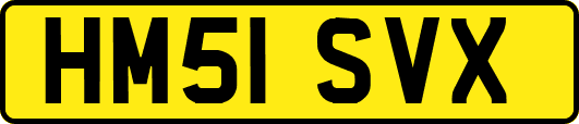 HM51SVX