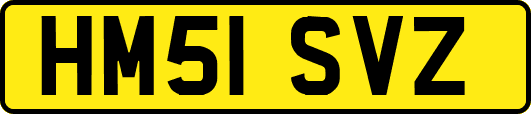 HM51SVZ
