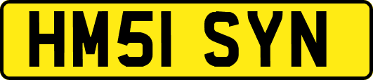 HM51SYN