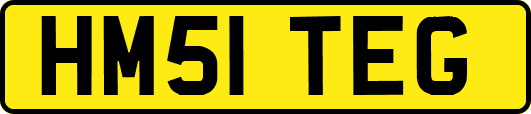 HM51TEG