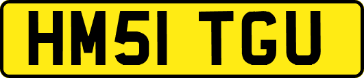 HM51TGU