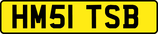 HM51TSB
