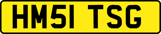 HM51TSG