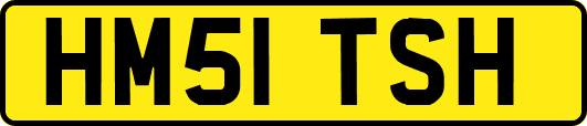 HM51TSH