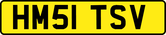 HM51TSV