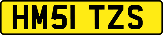 HM51TZS