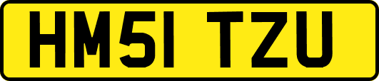 HM51TZU