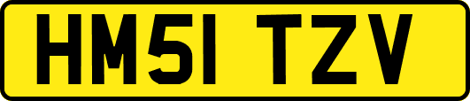 HM51TZV