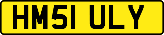 HM51ULY