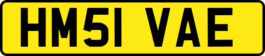 HM51VAE