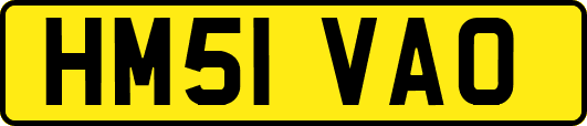 HM51VAO