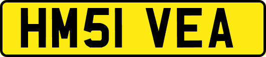 HM51VEA