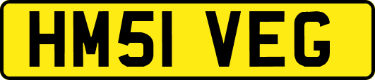 HM51VEG