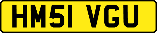 HM51VGU
