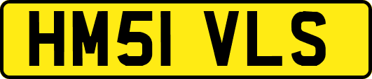 HM51VLS