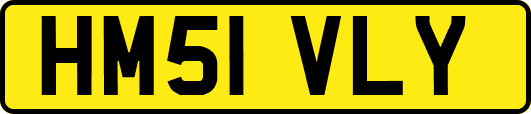 HM51VLY