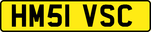 HM51VSC