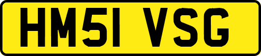 HM51VSG