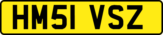 HM51VSZ