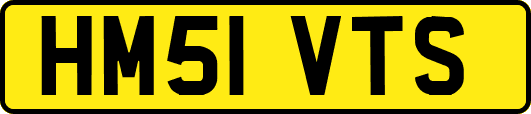HM51VTS