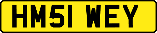 HM51WEY