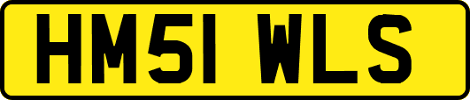 HM51WLS