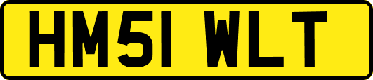 HM51WLT