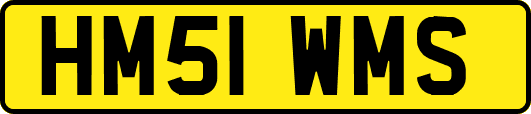HM51WMS