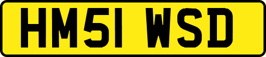 HM51WSD