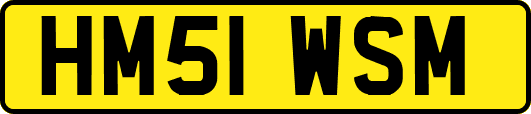 HM51WSM