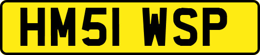 HM51WSP