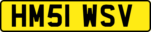 HM51WSV