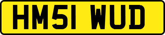 HM51WUD