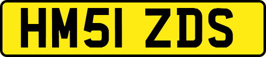 HM51ZDS
