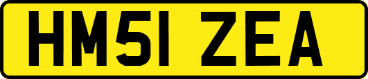 HM51ZEA