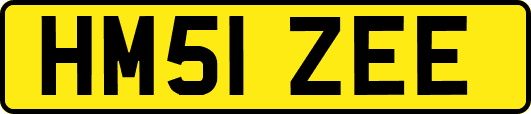 HM51ZEE
