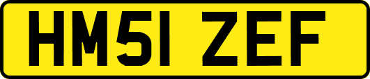 HM51ZEF