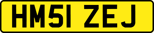 HM51ZEJ