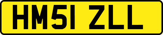 HM51ZLL