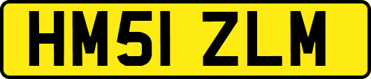 HM51ZLM