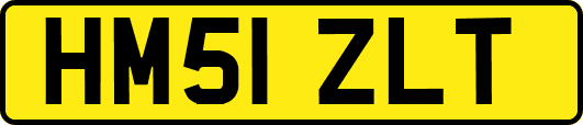 HM51ZLT
