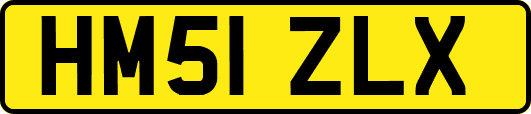 HM51ZLX