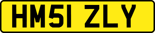 HM51ZLY
