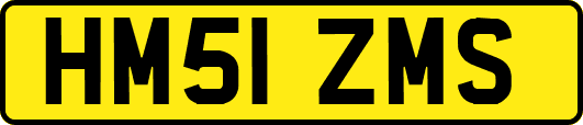 HM51ZMS
