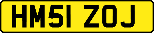 HM51ZOJ