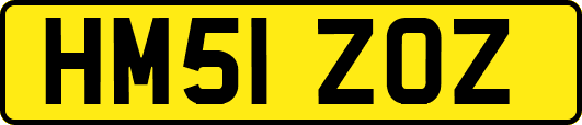 HM51ZOZ
